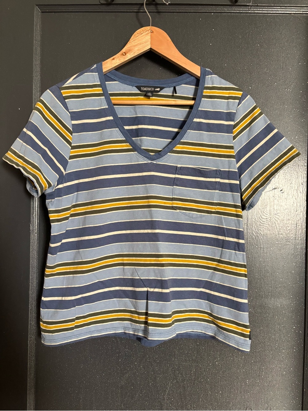 Toad&Co Navy and Light Blue Striped V-Neck Pocket Tee with Mustard Accents
